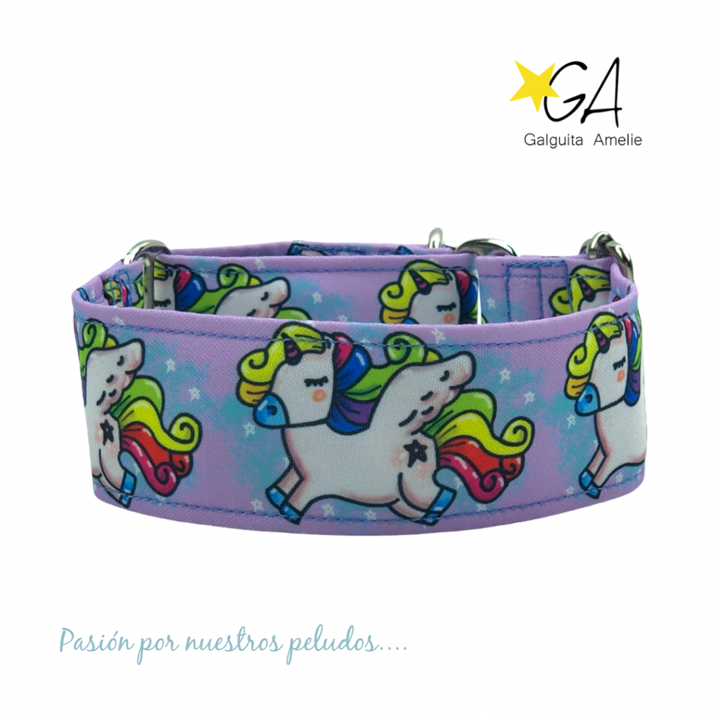Compra ahora tus collares para perros en Galguita Amelie