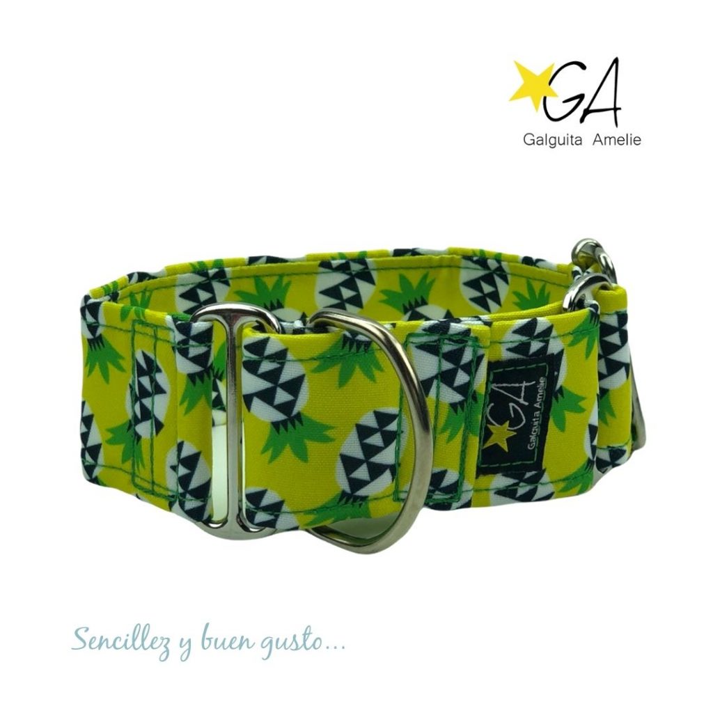 Compra ya tu collar para perros en Galguita Amelie