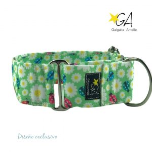 Martingale-Halsband Für Hunde – Sicher, Bunt & Ausbruchssicher