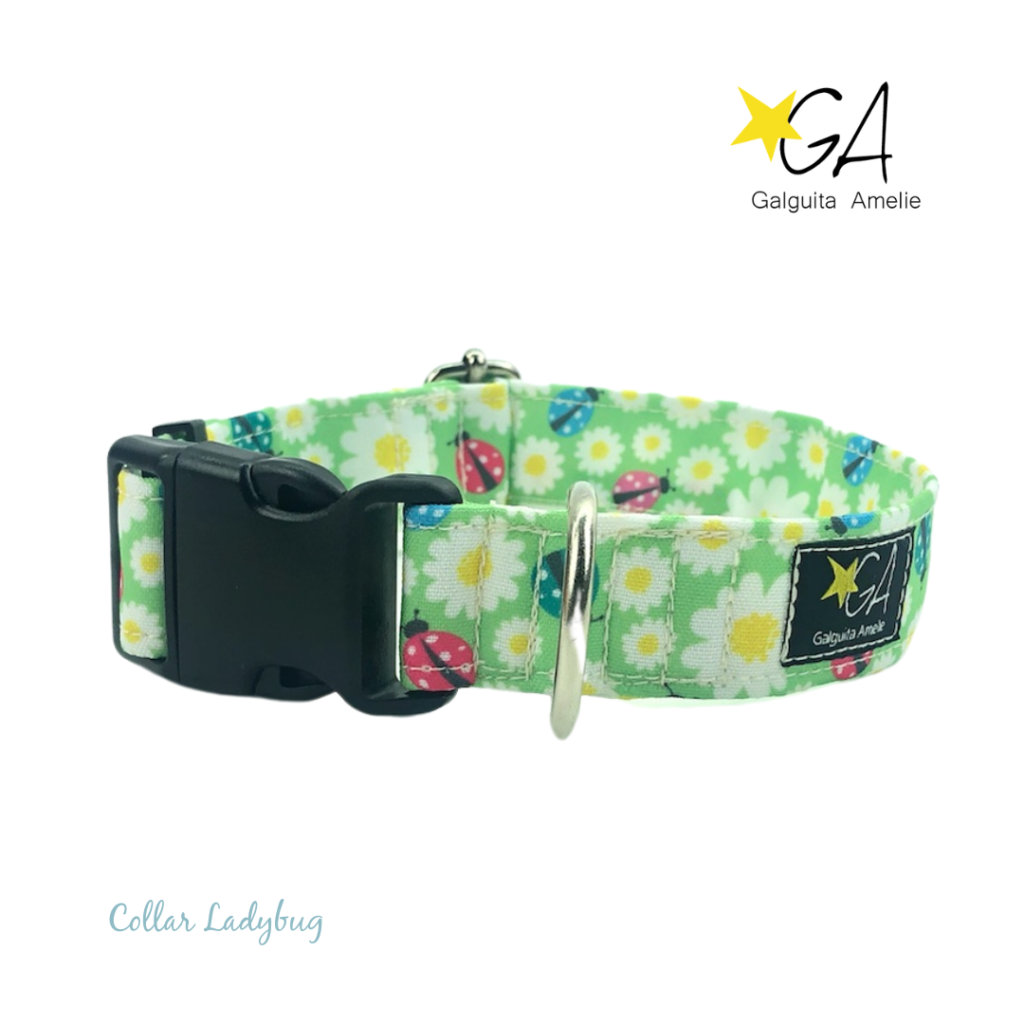 Collar clic plástico Ladybug