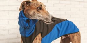 abrigo impermeable para galgos