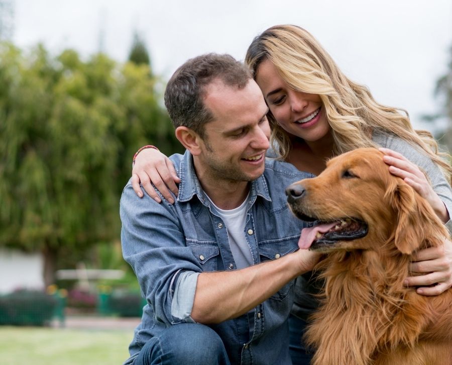 beneficios de adoptar un perro