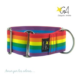 Collar Martingale Love is Love