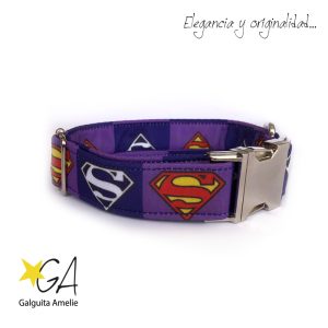Collar clic para perros