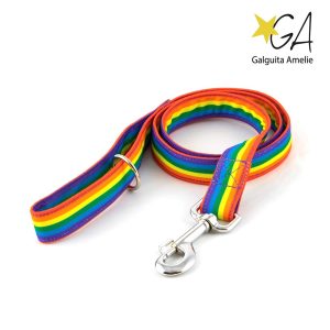 Correa de paseo Love is Love