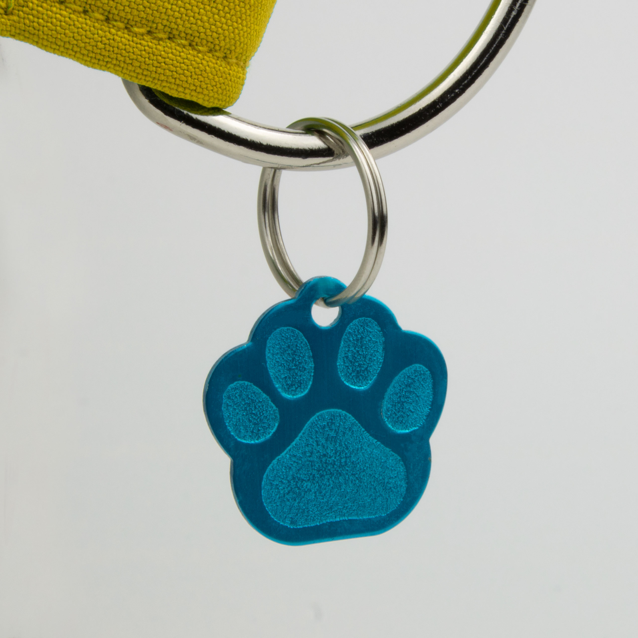Chapas metálicas para perros